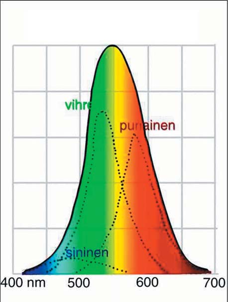 Digikuvan peruskirja Ihmisen värinäkö Jokaisella värillä on sille tyypillinen aallonpituusjakauma.