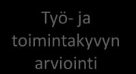Mikäli yleiset palvelut eivät ole riittäviä, tarvitaan erityisesti vammaisille suunnattuja palveluja, positiivista