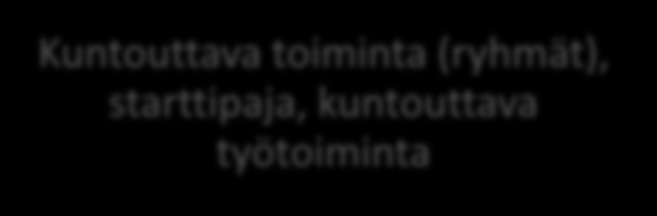 47 Työpaja ja sen sisältämät eri palvelut toimivat ammatilliselle koulutukselle väylänä edesauttaa niiden opiskelijoiden opintojen etenemistä, joille se ammattikouluympäristössä on haasteellista.