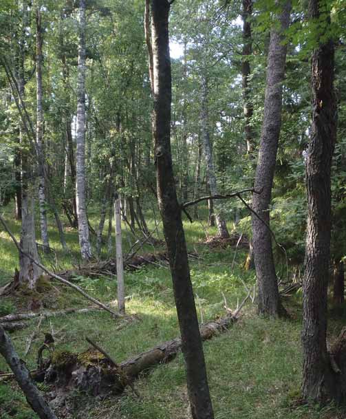 5. Luontotyyppien ja lajiston suojelun kehittäminen 5.