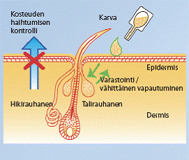 DERMOSCENT ESSENTIAL 6 SPOT ON Omega 3 ja 6 rasvahappovalmiste ihon ja turkin hoitoon koirille ja kissoille Milloin tuotetta käytetään: kuivan ja hilseilevän ihon hoitoon rasvaisen ja pahan hajuisen