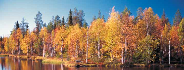 Sjömanspensionskassans trivsamma semesterstuga vid Ylläs sjö i Fjällappland kan hyras för semesterveckor under höst- och vintersäsongen.