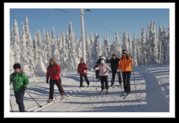 kahvia, teetä, kaakaota, mehua,