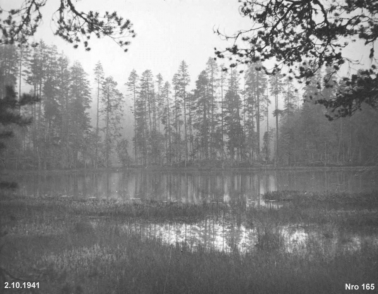 Nelkanjärvi Metsälampi aamuvarhaisella.