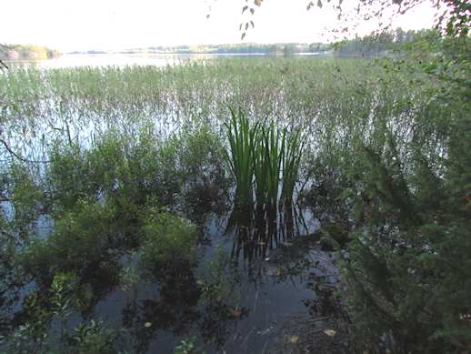 tulisi erityisesti ottaa huomioon alueen