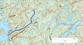 97 "Mäkisuonoja" Viitapohja Metsäiseltä alueelta alkava, pirunnotkon läpi kulkeva uoma. Pulesjärven valuma-alue VALUMA-ALUEEN NUMERO 35.318 Maaperä kalliota, hiekkamoreenia ja saraturvetta.