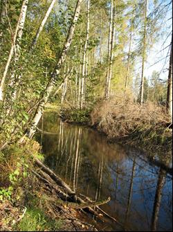 Loppisjärvi ja Pikku-Viljamoinen.