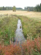 UOMAN PITUUS (km) 2,7 Kaletonjärvi RAKENTEET 2 rumpua/putkea ARVIO VEDEN LAADUSTA Runsasravinteinen vesi Ei erityisiä luontoarvoja puroympäristön kannalta.