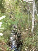UOMAN PITUUS (km) 1,3 Frantsinlammi RAKENTEET 2 rumpua/putkea ARVIO VEDEN LAADUSTA - Ei erityisiä luontoarvoja puroympäristön kannalta.