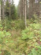 UOMAN PITUUS (km) 2,4 Kaustaranjärvi RAKENTEET 1 rumpu/putki ARVIO VEDEN LAADUSTA Runsashumuksinen Ei erityisiä luontoarvoja puroympäristön kannalta.