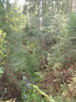 UOMAN PITUUS (km) 2,5 Löytänänjärvi RAKENTEET 1 rumpu/putki ARVIO VEDEN LAADUSTA Runsasravinteinen Ei erityisiä luontoarvoja puroympäristön kannalta. Ei asemakaavaa.