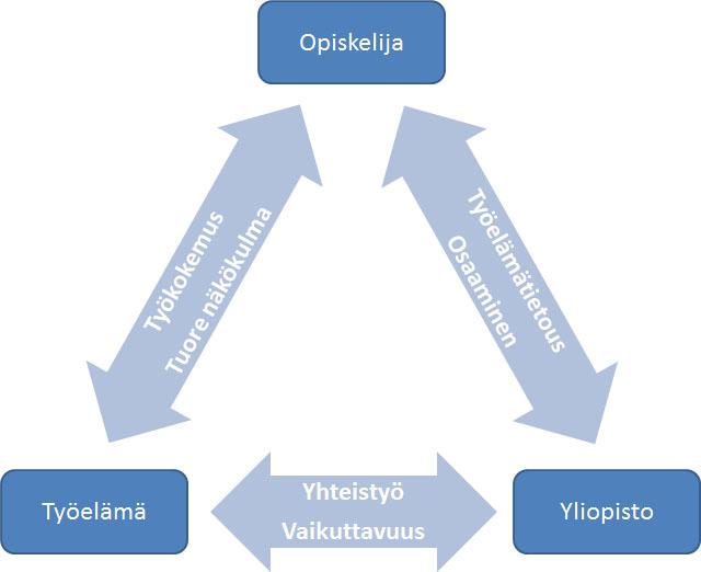 "Korkeakouluharjoittelija on itsenäiseen ajatteluun ja toimintaan kykenevä aikuinen ihminen, jolle voi antaa isoja, haastavia kokonaisuuksia ja hän pystyy ne pienellä opastuksella hoitamaan.