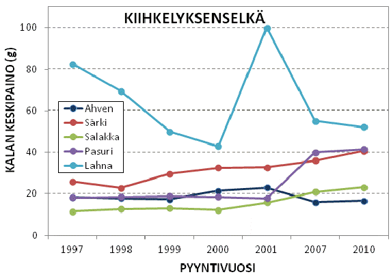 18 Kuva 10. Ahvenen, särjen, salakan, pasurin ja lahnan keskikoko (g) Hiidenveden Kiihkelyksenselältä vuosina 1997-2010 tehdyissä verkkokoekalastuksissa.