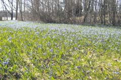 Kylänraitin toimitus valitsee huolellisesti harkiten kuvistanne kaikkein kertovimmat ja tunnelmallisimmat kutakin vuodenaikaa parhaiten kuvaavat.