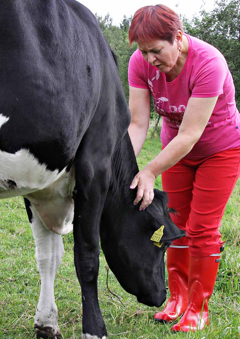 Teksti: Elisa Niemi Maataloutta mausteilla: poly-farming, CSA... Miksi on niin paljon kaikenlaisia uusia termejä kuvaamaan maataloustuotantoa? Tarvitaanko niitä?