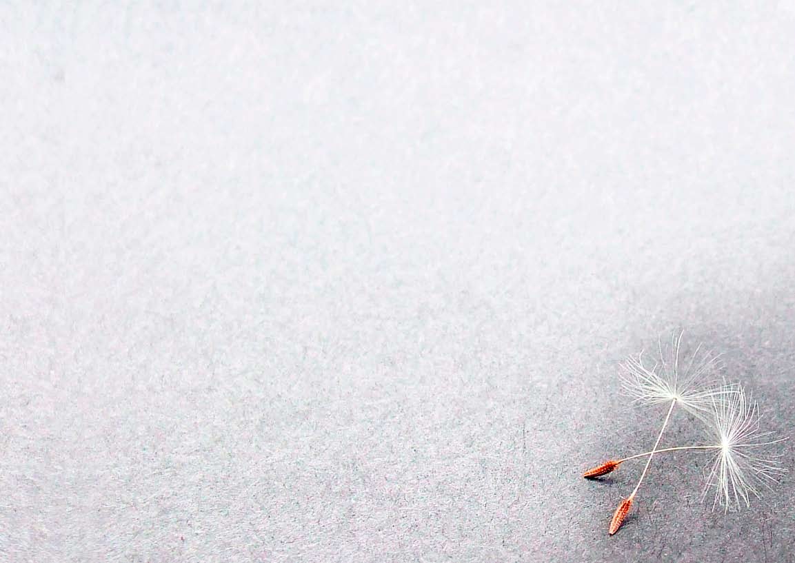 Kaikkia ei voi auttaa Turhauttavinta on, kun toinen ei tajua. Tekisi mieli lopettaa puhelu, kun alkaa tuntua, että tarvitsisi mennä vähäksi aikaa hakkaamaan päätä seinään.