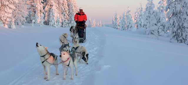 Syötteen alueen hyviä pilkkivesiä ovat Pytkynharjun lammet, Naamankajärvi ja Huuhkaset Naamankajärven itäpuolella. Kaloina on ahventa, siikaa, haukea ja särkeä.