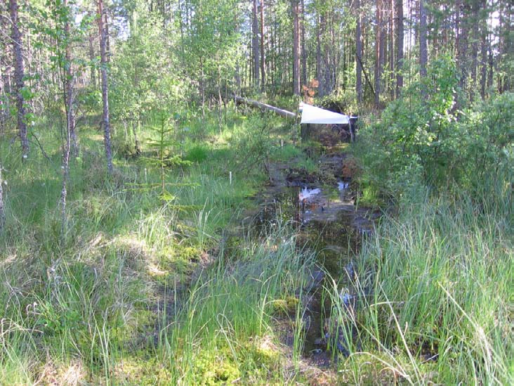 Tihkupinnalla oleva ajoura on muuttanut lähteikön