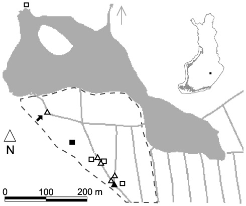 Kuva 7. Saarikon tutkimuskohteiden sijainti. Ennallistetut kohteet on esitetty kolmioin ja luonnontilaiset neliöin.