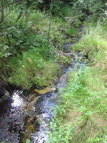 .5.8 Hautakorpi Kunta: Honkajoki Natura-alue: Haapakeidas FI000 Suojelualue: Huidankeitaan Matokeitaan soidensuojelualue Kuva 43.