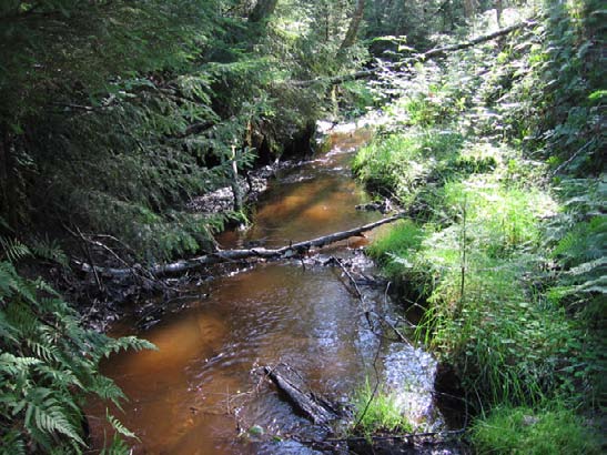 .5.5 Kauhalammi SE Kunta: Kauhajoki Natura-alue: Kauhaneva Pohjankangas FI080000 ja FI0800003 (osin) Suojelualue: Kauhanevan Pohjankankaan kansallispuisto (osin) Puolet Kauhalammin lähteikön