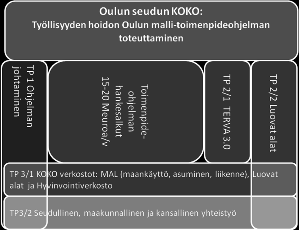 Tämän vuoksi erityisesti nuorisotyöttömyys on seudulla korkea. Oulussa laadittiin yhteistyössä keskeisten toimijoiden kanssa v.