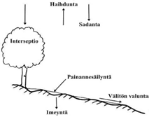 Taajamien maapinta-ala oli yhteensä 7 169 km eli noin,4 prosenttia koko valtakunnan maa-alasta. Hydrologisesti taajamat ovat usein voimakkaasti muutettuja ympäristöjä.