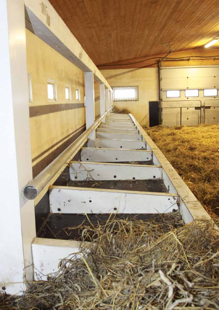 Hevosen pitopaikkoja koskevia asioita Koska Suomessa ei hevosia voi ympärivuotisesti pitää pelkästään luonnonoloissa, tulee kasvukauden ulkopuolella jokaiselle hevoselle olla osoitettavissa