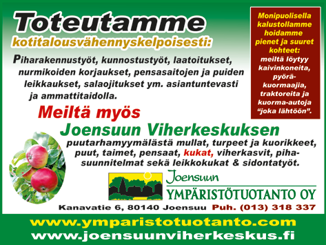 FYSIKAALINEN HOITOLAITOS JOENSUU, Torikatu 17, III krs Puhelin: (013) 225125 (013) 229410 Seppo Åkerlund HTM-tilintarkastaja Eeva Hiltunen KHT-tilintarkastaja Siltakatu 18, IV krs, 80100 Joensuu Puh.