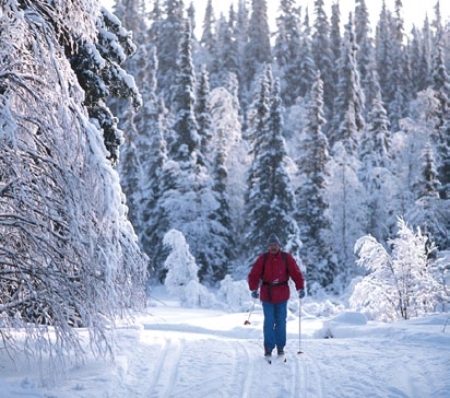 Metsä kuuluu kaikille Suomessa vallitseva jokamiehenoikeus takaa, että kaikilla on mahdollisuus virkistäytyä metsissä, tarkkailla luontoa ja hyödyntää luonnon antimia aiheuttamatta haittaa luonnolle