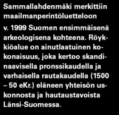 Röykkiöalue on ainutlaatuinen kokonaisuus, joka kertoo skandinaavisella