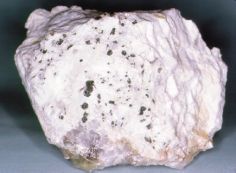 URAANIMIKROLIITTI (djalmaiitti) (U,Ca,Ce) 2 (Ta,Nb) 2 O 6 (OH,F) Pieniä mustia uraanimikroliittirakeita ja pyöreähköjä hiilipallosia (tukkoliitteja) levymäisessä albiitissa.