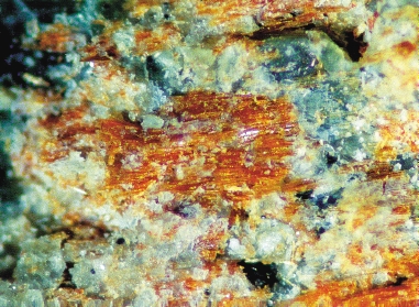 COALINGIITTI Mg 10 Fe 2 +3 (C )(OH) 24 2H 2 O Punertavan ruskea coalingiitti ja serpentiini. Keskellä olevan kidekimpun pituus noin 1 mm. Juuan Miihkali. GTK:n näyte. Valokuvannut A. Lindberg.
