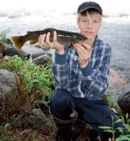 Kalastusta joka makuun Metsähallituksen kalastuskohteilla voit saada kalaa ja elämyksiä. 1. Kolima-Keitele -koskireitti Kärnän-, Kellan ja Kymönkoski.