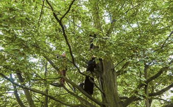 illalliset tai tiistaiset Park Schönfeldin Tischreden puheet. Documentasta tuli kylä kaupungin sisään.