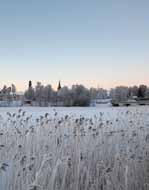 kauniilla Keurusselkä-järvellä Upplev en kryssning ombord på en äkta hjulångare på den vackra sjön Keurusselkä. www.eliaksenristeilyt.