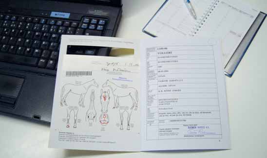 HYVINVOIVA HEVONEN Kuva 8. Hevospassissa on hevosen tunnistamiseen tarvittavat tiedot. Todennäköisesti vuoteen 2010 mennessä kaikilla hevosilla EU:n alueella on oltava tunnistusasiakirja.