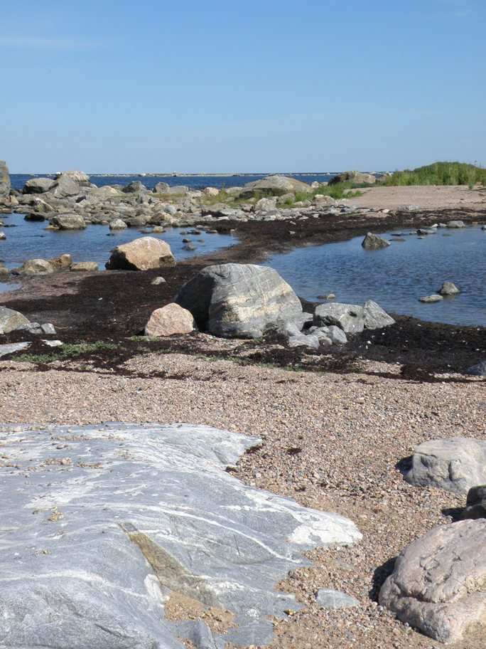 CASE: Vedenalaisen luonnon monimuotoisuuden kartoitus (VELMU) Selkämerellä Tapio Suominen, Varsinais-Suomen ELY-keskus Selkämeren vedenalainen luonto on Itämerenkin mittakaavassa vähälajinen ja