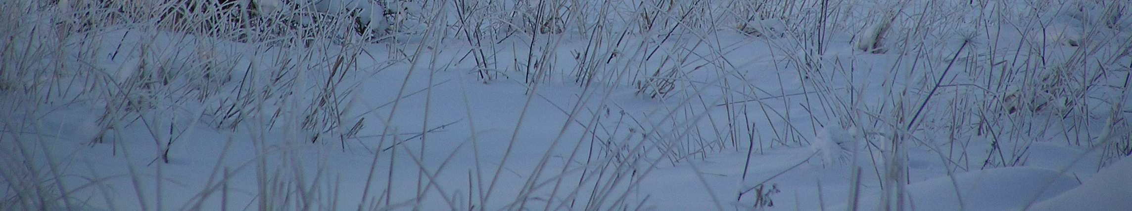 raportteja, joissa alueen perustietoja on kuvattu. Miten voit Selkämeri? (Sarvala ja Sarvala (toim.