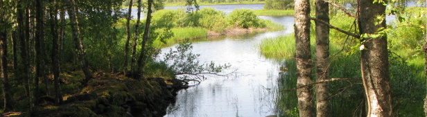 Tutkiva oppiminen (Hakkarainen, Lonka & Lipponen 2005, 279) Tutkivalla oppimisella tarkoitetaan prosessia, jonka aikana haetaan järjestelmällises) vastausta sellaiseen