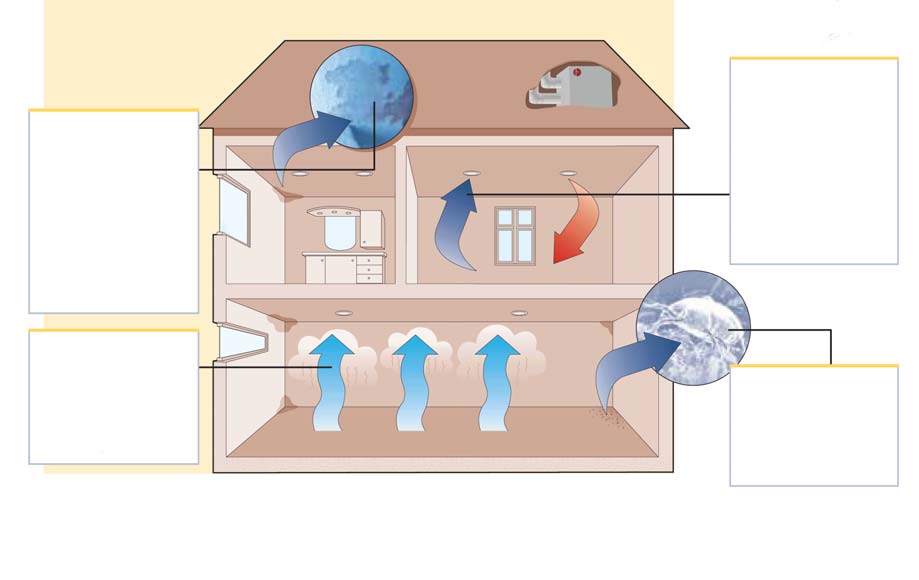 Radon Nilanin kierrätysilman ansiosta vältytään vaarallisten kaasujen kerääntymiseltä, eikä radonpäästöjä pääse syntymään. Pölypunkit Pölypunkit eivät lisäänny alle 45% suhteellisessa kosteudessa.