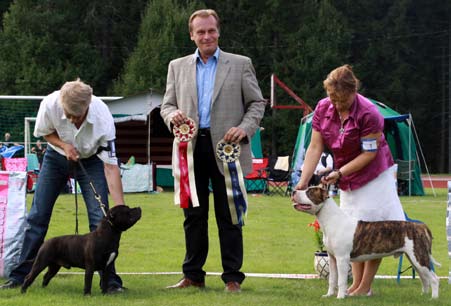 Erikoisnäyttely 15.8.