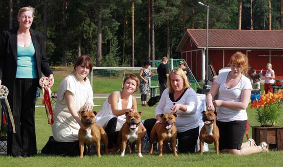Erikoisnäyttely 15.8.