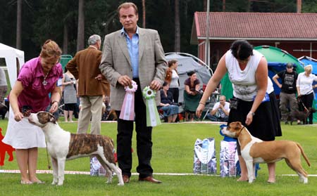 Bergundthal, Sveitsi (urokset 28, nartut 49, ROP, ROP-veteraani, ROP-kasvattaja) oik. ROP FI MVA Masterbolt Hard To Get ja vas.