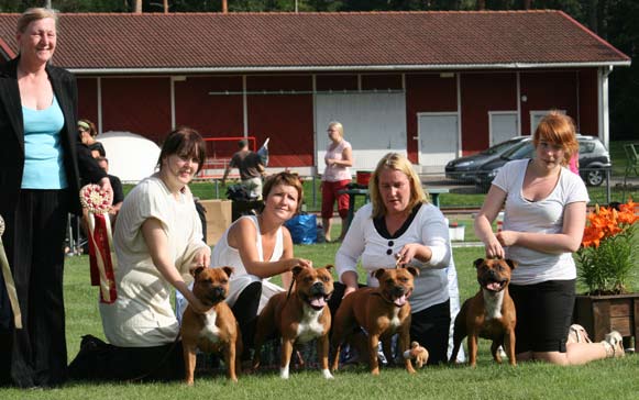 Erikoisnäyttely 15.8.2010 /staffordshirenbullterrierit T. Saarinen oik. ROP-veteraani C.I.