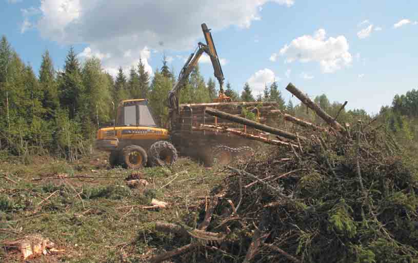 - Onneksi armeijasta löytyi ymmärrystä, kiittelee Pasi, jonka nuoria harteita silloin painoi kovin vastuu.