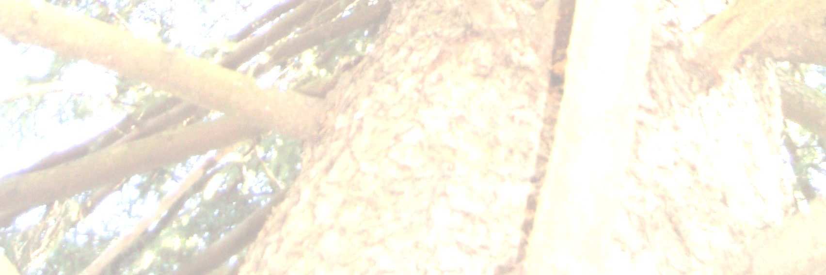 Vertaisuus Kannustus