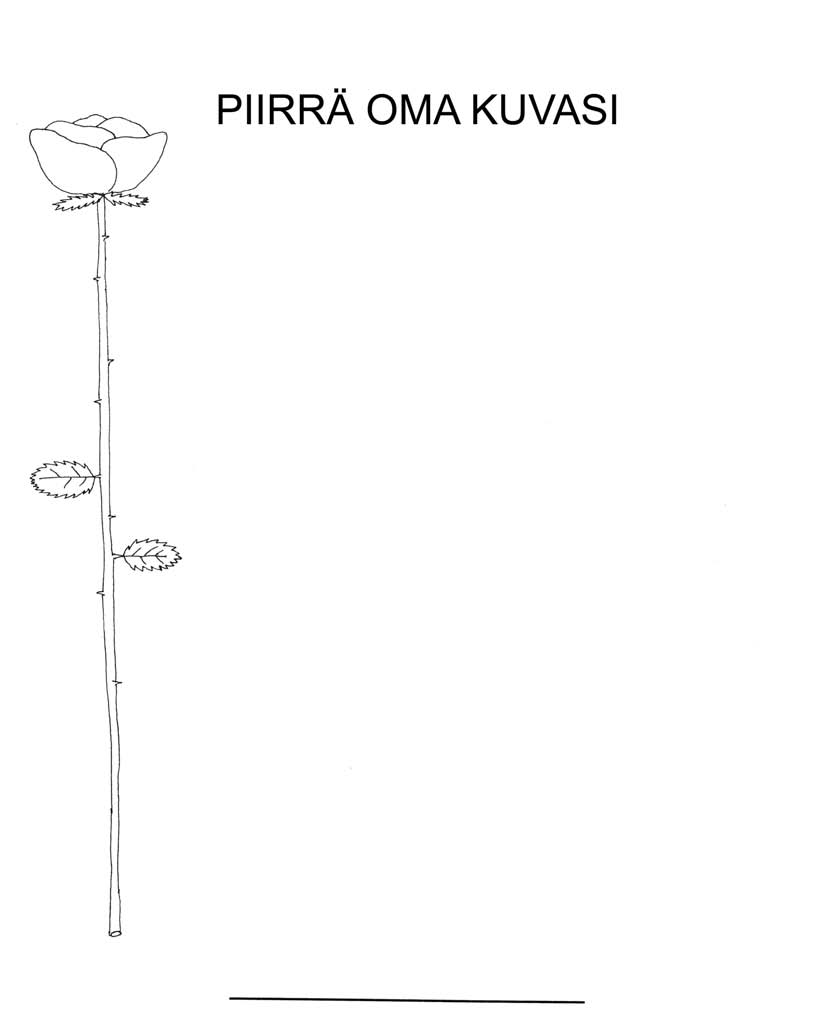 PIIRRÄ OMA KUVASI