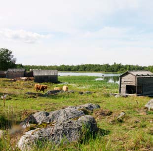 Kysymyksiä Tärkeitä kysymyksiä oppilaiden mietittäviksi: Miksi maa kohoaa? Miten maankohoaminen on edennyt? Miksi korkein rantaviiva on erilainen eri paikoissa?