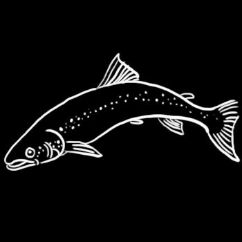 1989: Maailman kalansaalis on huipussaan, 100 miljoonaa tonnia vuodessa.